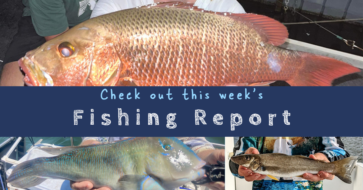 “CLARKIES” GOLD COAST FISHING REPORT 9 March 2023