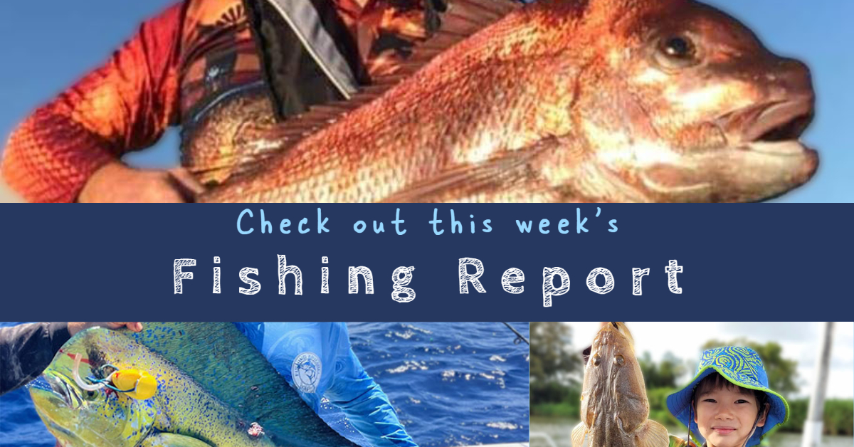 “CLARKIES” GOLD COAST FISHING REPORT 31 March 2023
