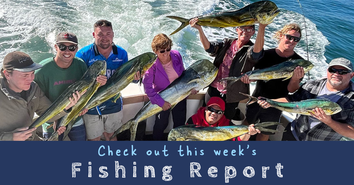 “CLARKIES” GOLD COAST FISHING REPORT 25 May 2023