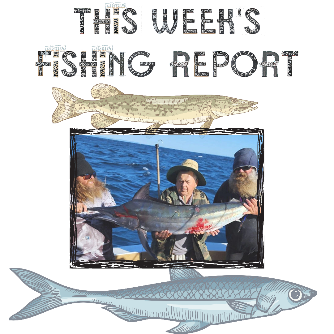 CLARKIE’S GOLD COAST FISHING REPORT 23 June 2023